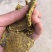 （2947人好评）棉籽饼有机肥农用田园家用棉籽饼有机肥料