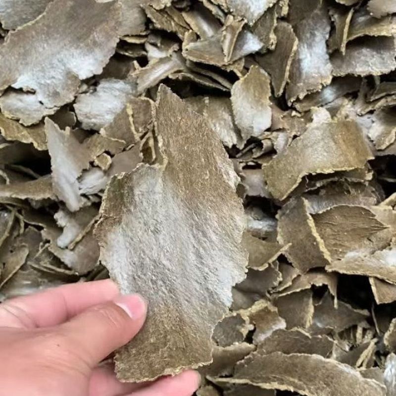 （2947人好评）棉籽饼有机肥农用田园家用棉籽饼有机肥料