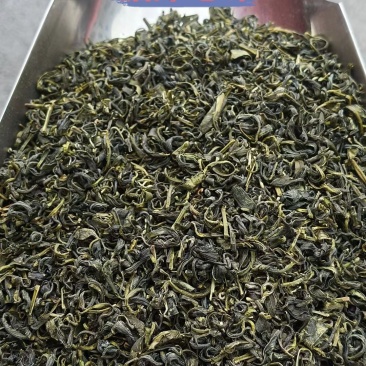 贵州湄潭高山绿茶