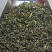 贵州湄潭高山绿茶
