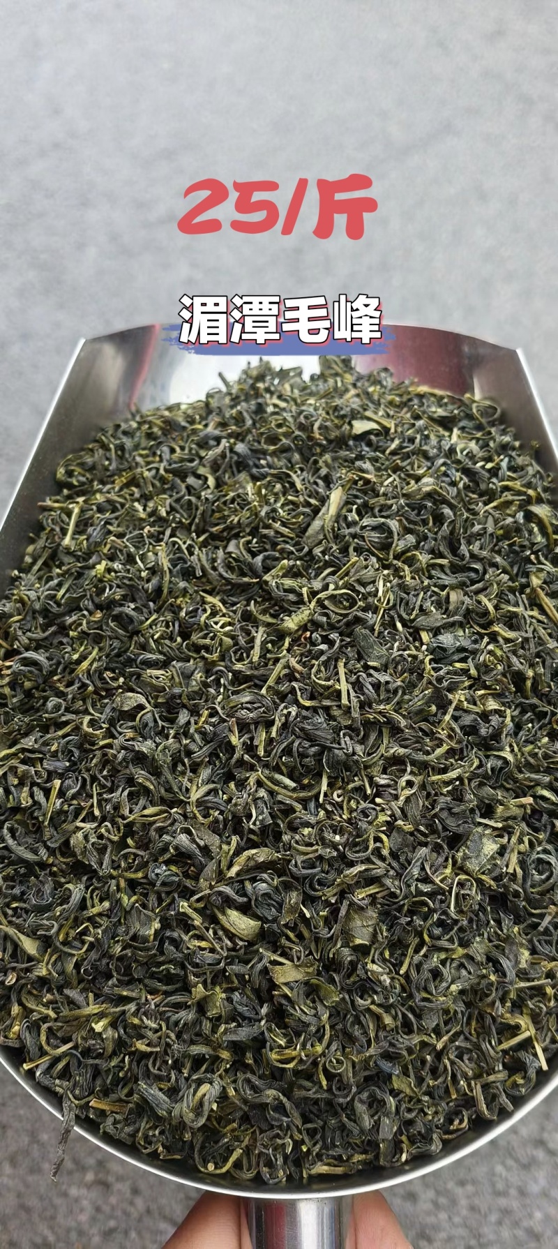 贵州湄潭高山绿茶