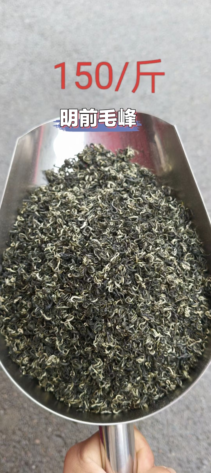 贵州湄潭高山绿茶