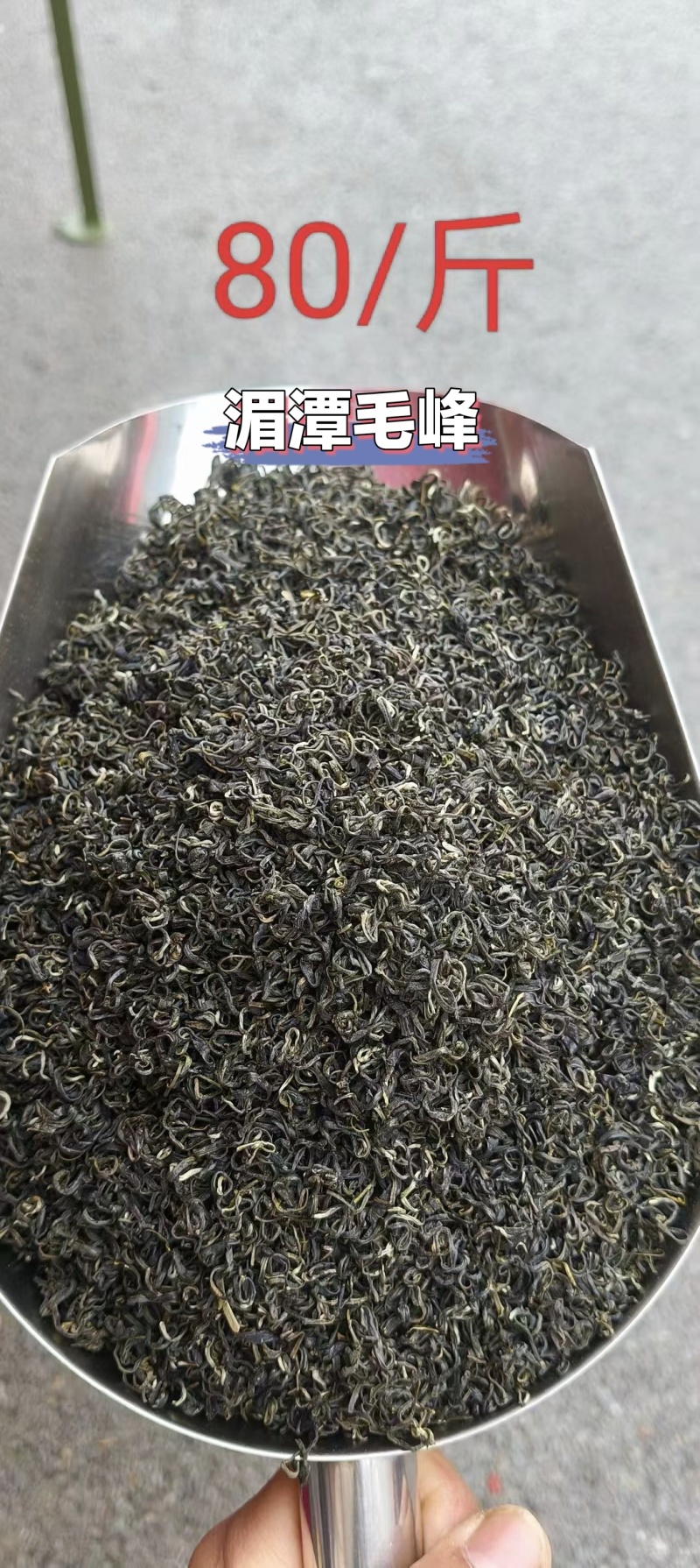 贵州湄潭高山绿茶