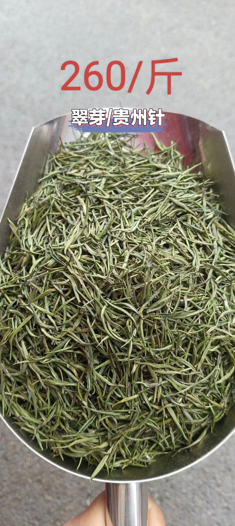 贵州湄潭高山绿茶