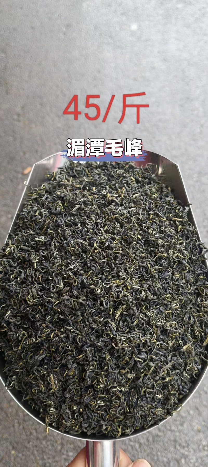 贵州湄潭高山绿茶