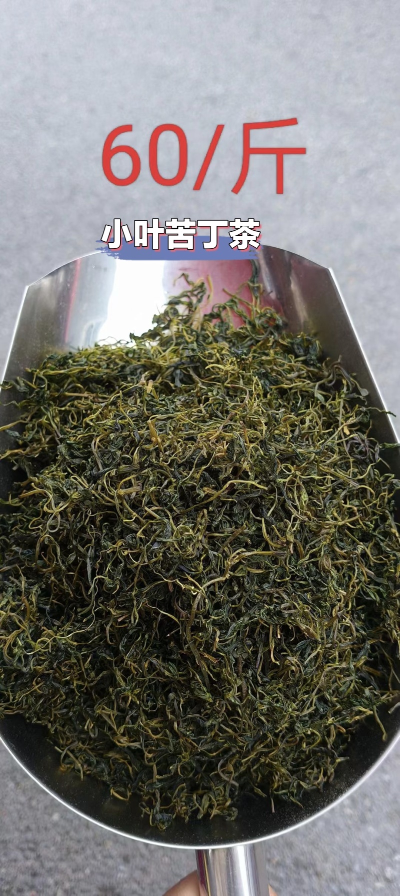 贵州湄潭高山绿茶
