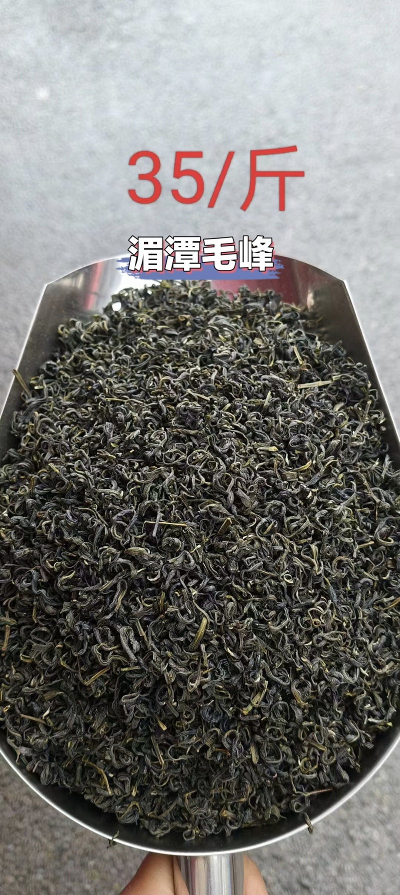 贵州湄潭高山绿茶