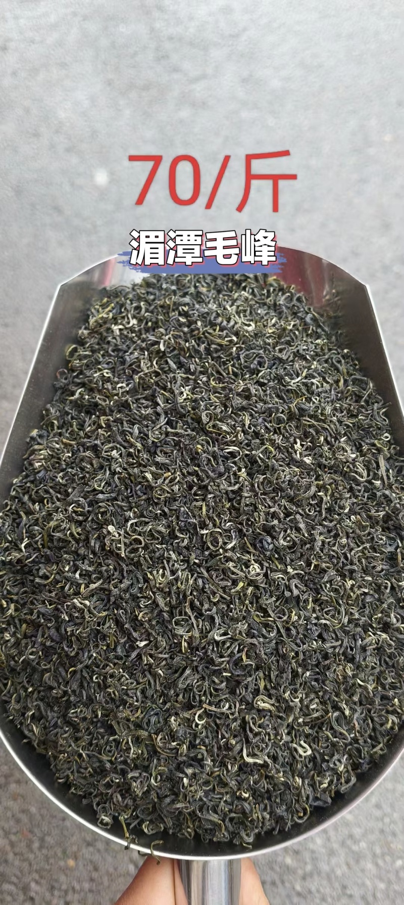 贵州湄潭高山绿茶