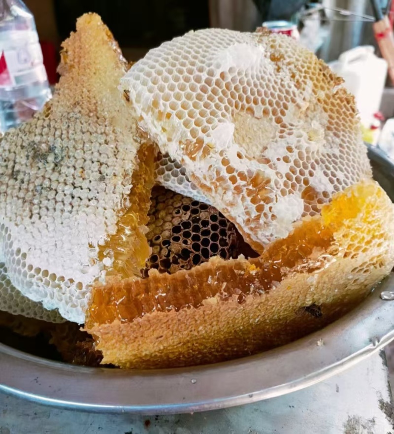 野生蜂蜜，树洞放山养殖