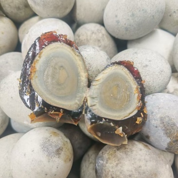 好吃不贵毛毛钱