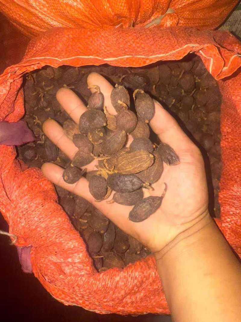 草果