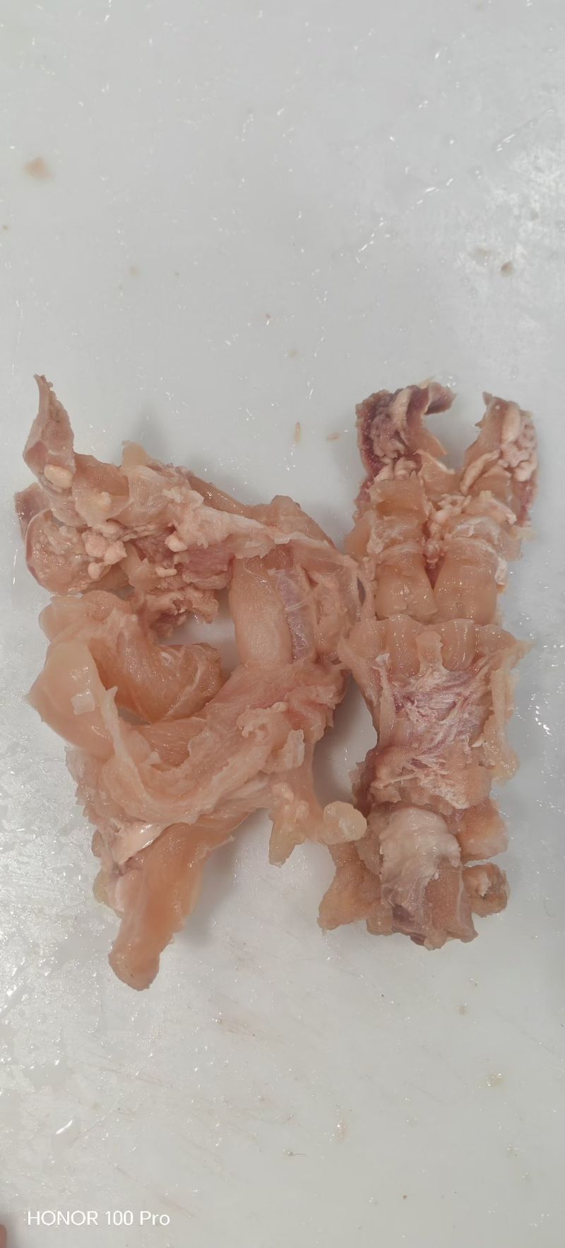 公牛熟主筋