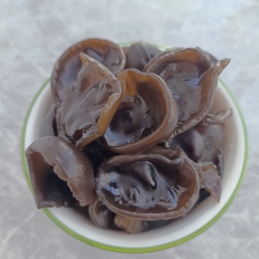 东北黑木耳
