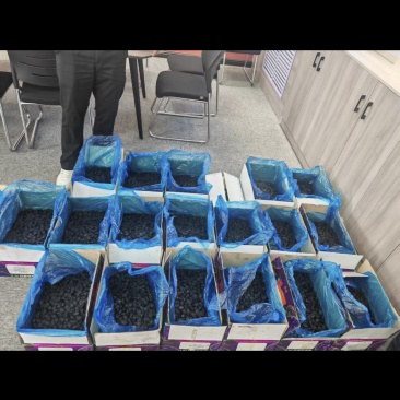 西梅干（180规格，大约2吨多点货，一箱10公斤）