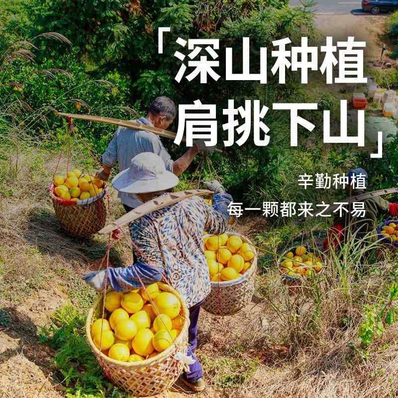 赣南脐橙