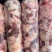 带点肉棒骨筋