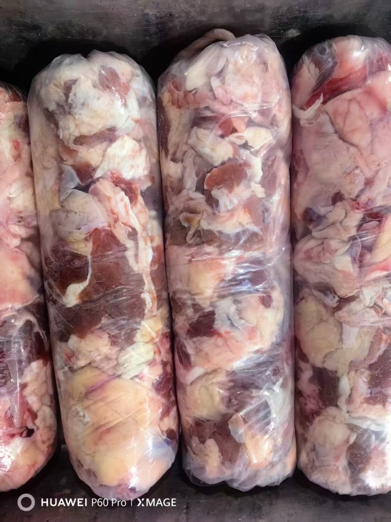带点肉棒骨筋