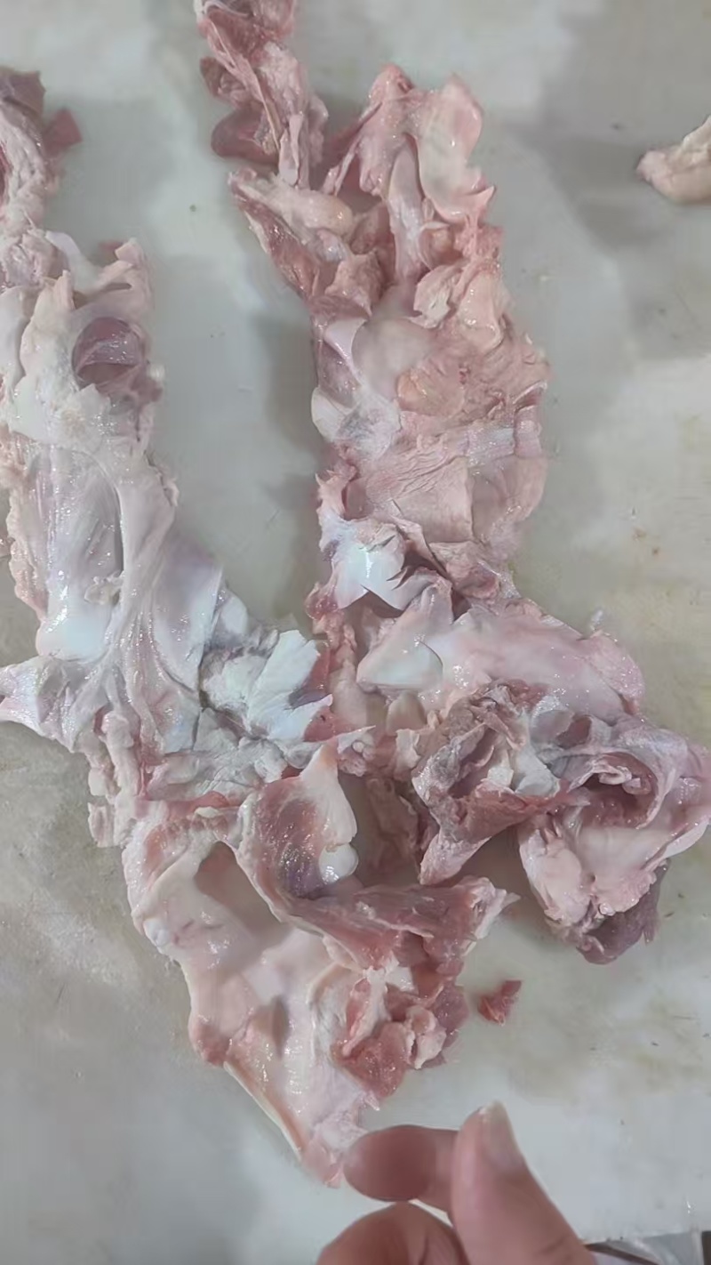 带点肉棒骨筋