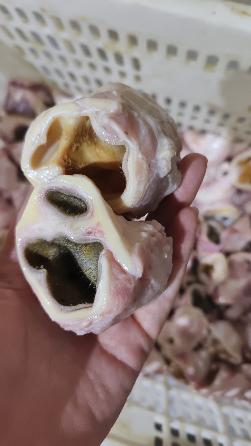 生牛耳根