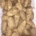云南小草坝天麻