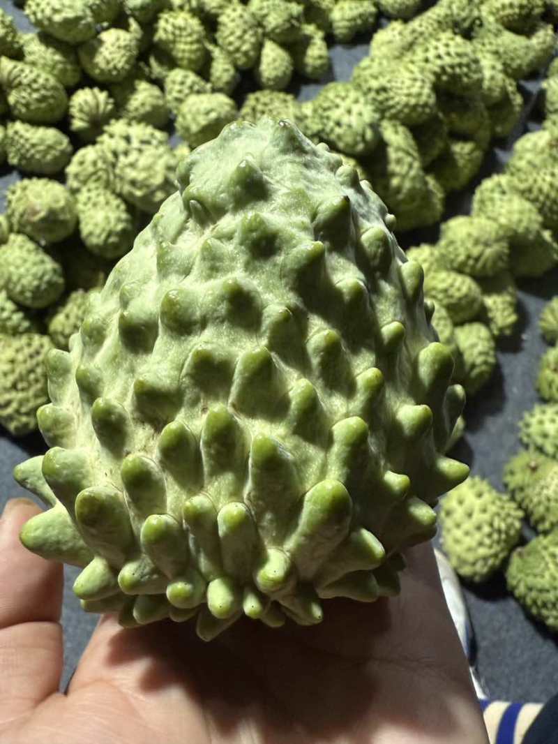 释迦果
