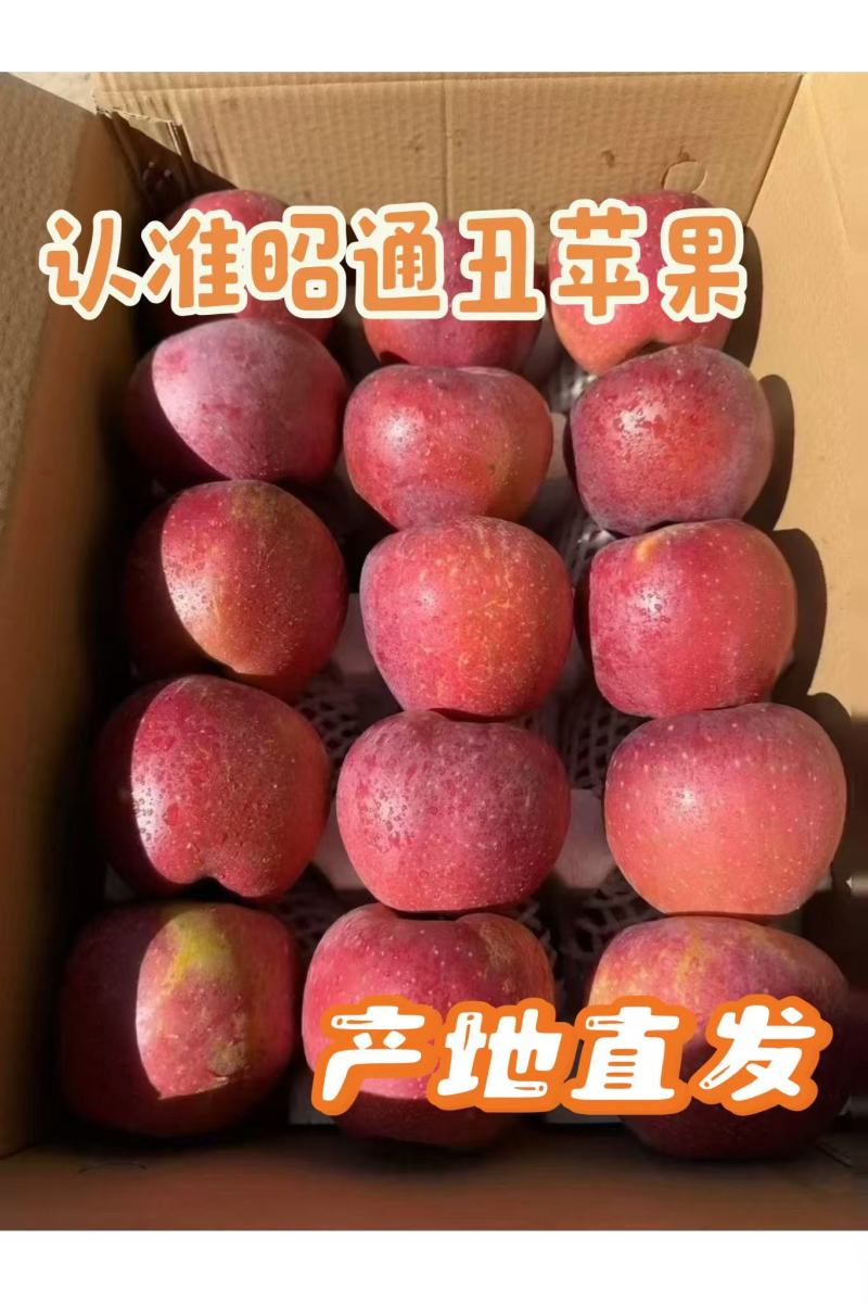昭通丑苹果