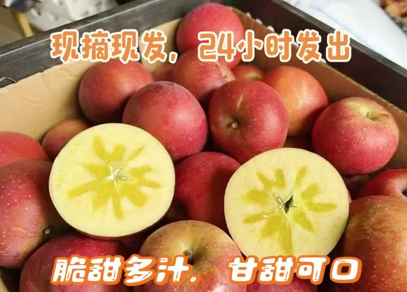 昭通丑苹果