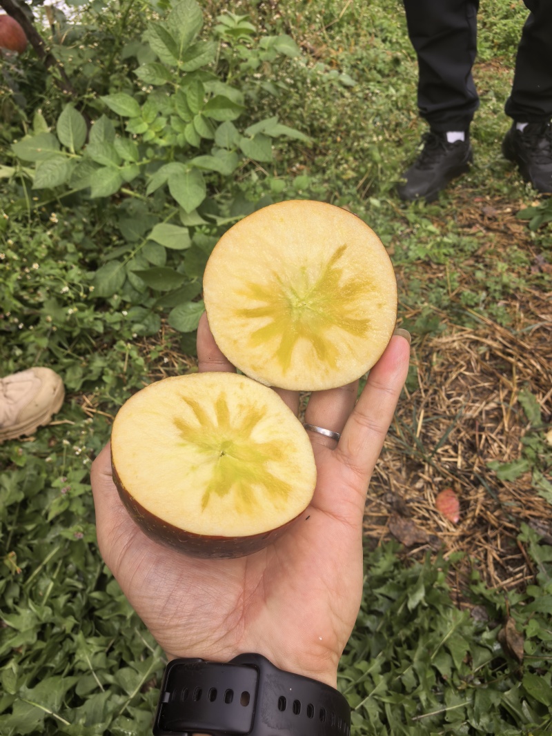 昭通丑苹果