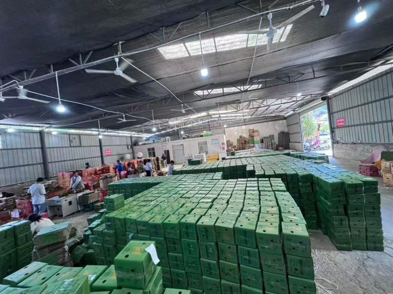 哈斯牛油果，一件代发。