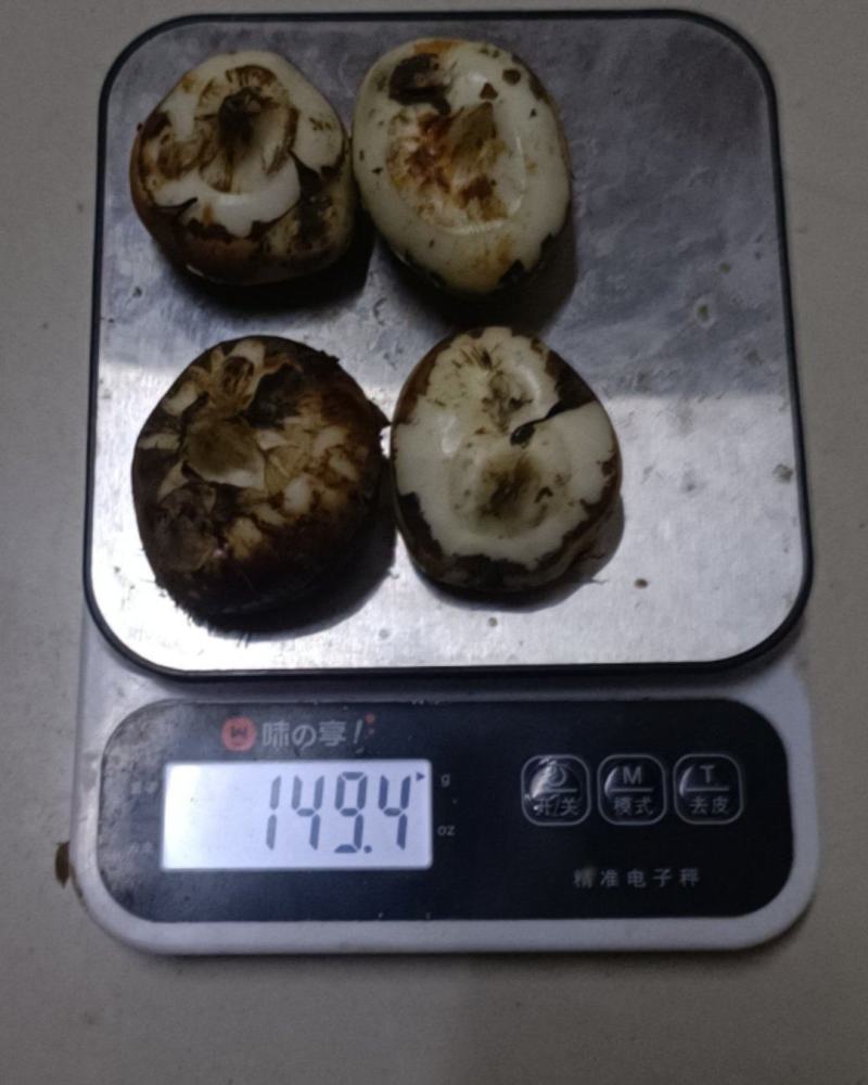 广西贺州钟山马蹄