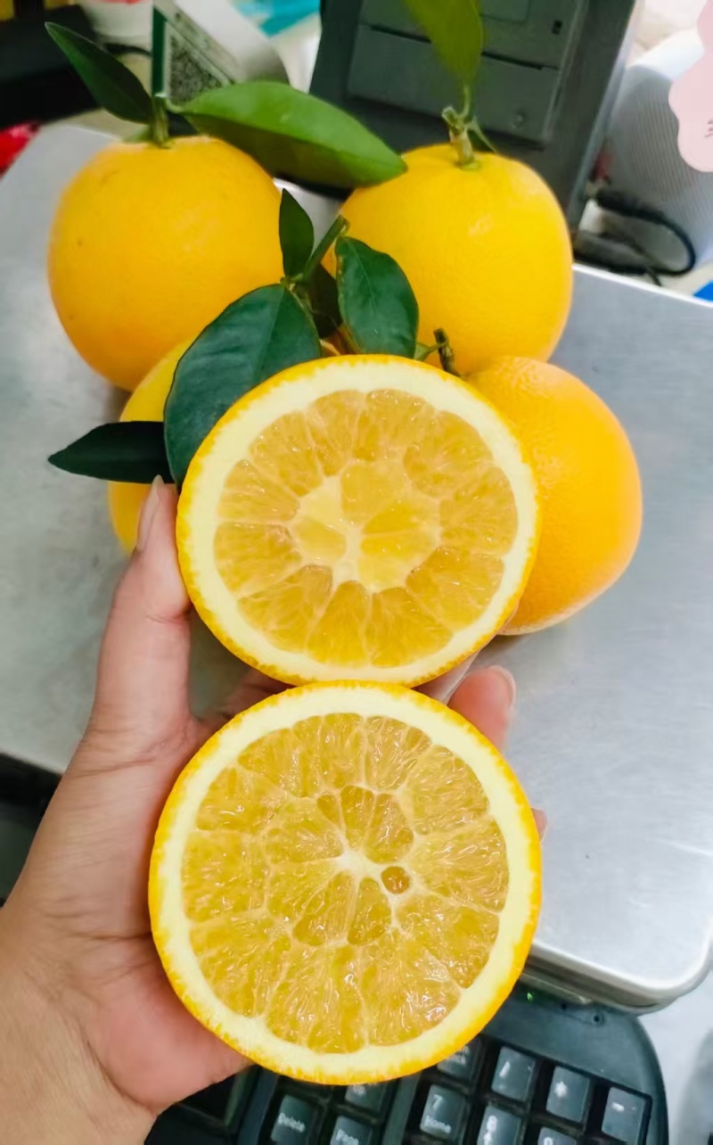赣南脐橙