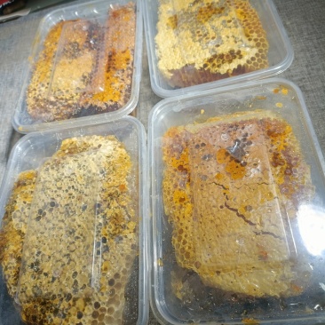 广西野生蜂蜜