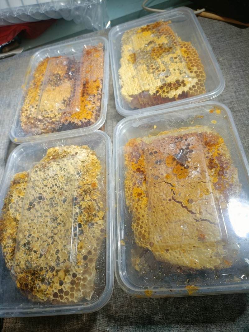 广西野生蜂蜜