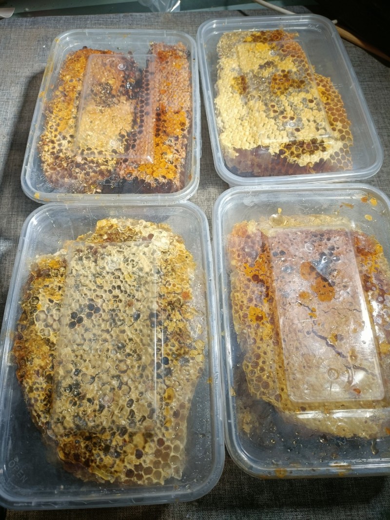 广西野生蜂蜜