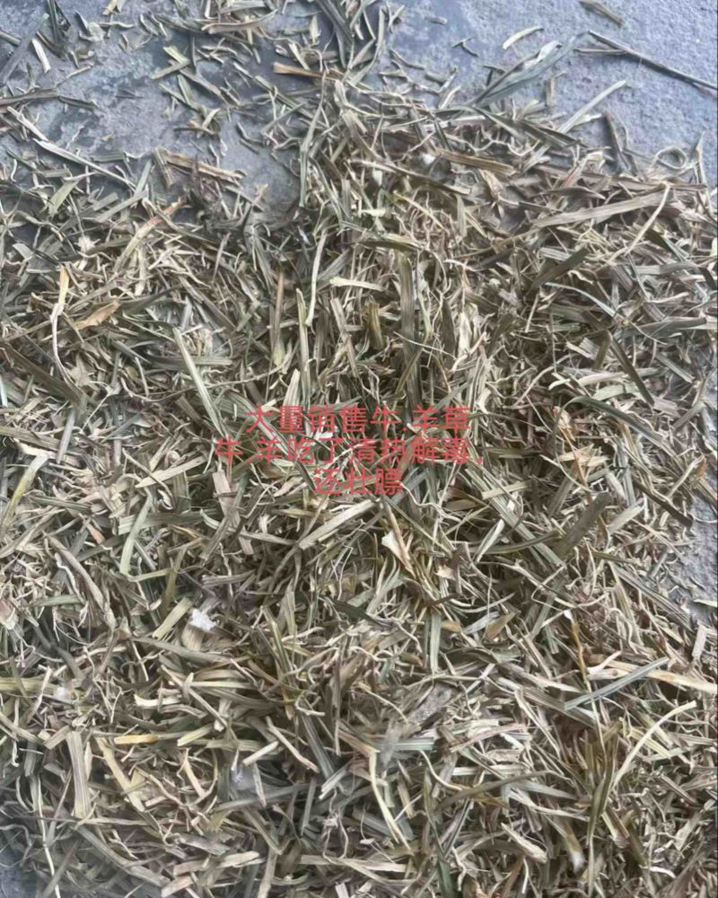 麦冬牛羊草