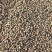 2025年秋收豌豆七八万斤有要的联系