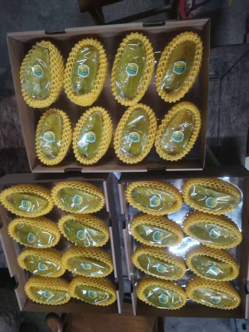 杨桃