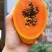 冰糖红心木瓜