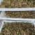 青皮无花果干电商货