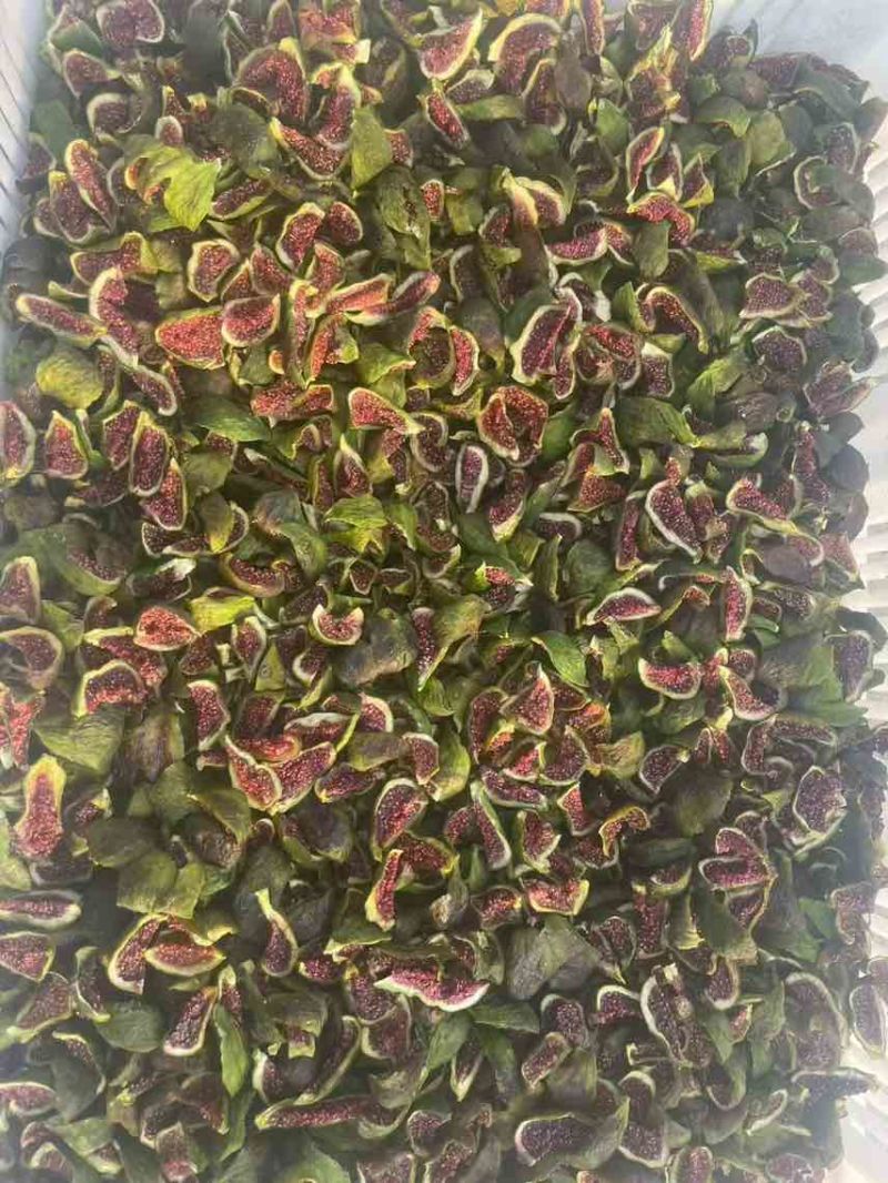 青皮无花果干电商货