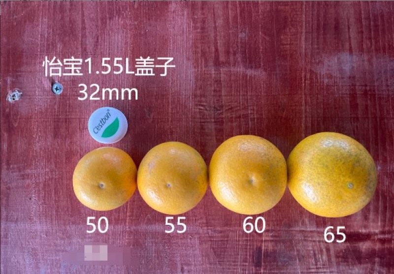 正宗湖南麻阳冰糖橙，产地直采，支持一件代发，价格美丽