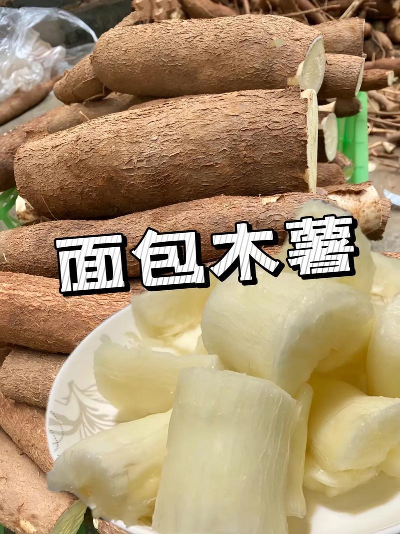 面包木暑