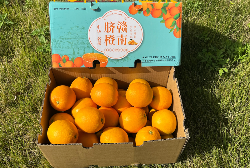 赣南脐橙