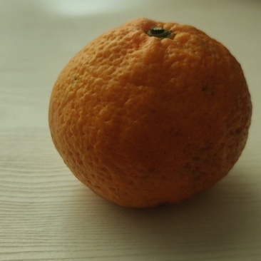 橘子