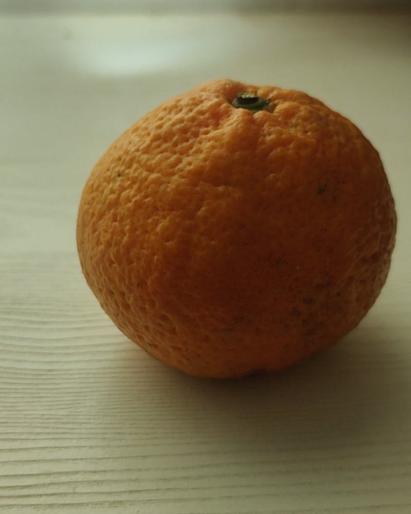 橘子