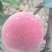冬桃🍑
