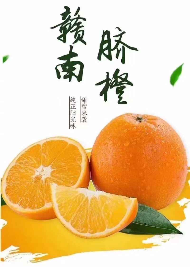 赣州原产地直发团购批发一件代发电商零售送礼送长辈