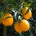 赣州原产地直发团购批发一件代发电商零售送礼送长辈