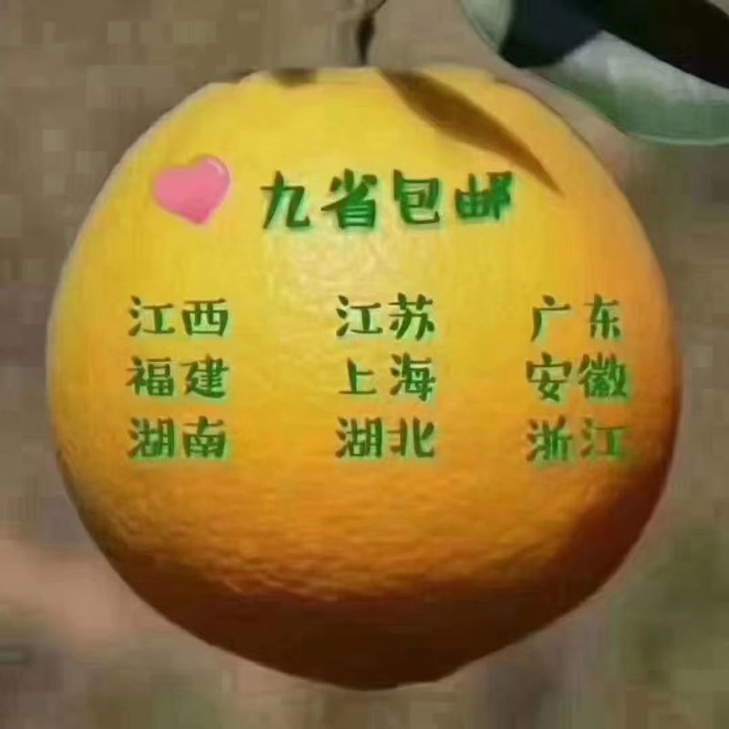 赣州原产地直发团购批发一件代发电商零售送礼送长辈
