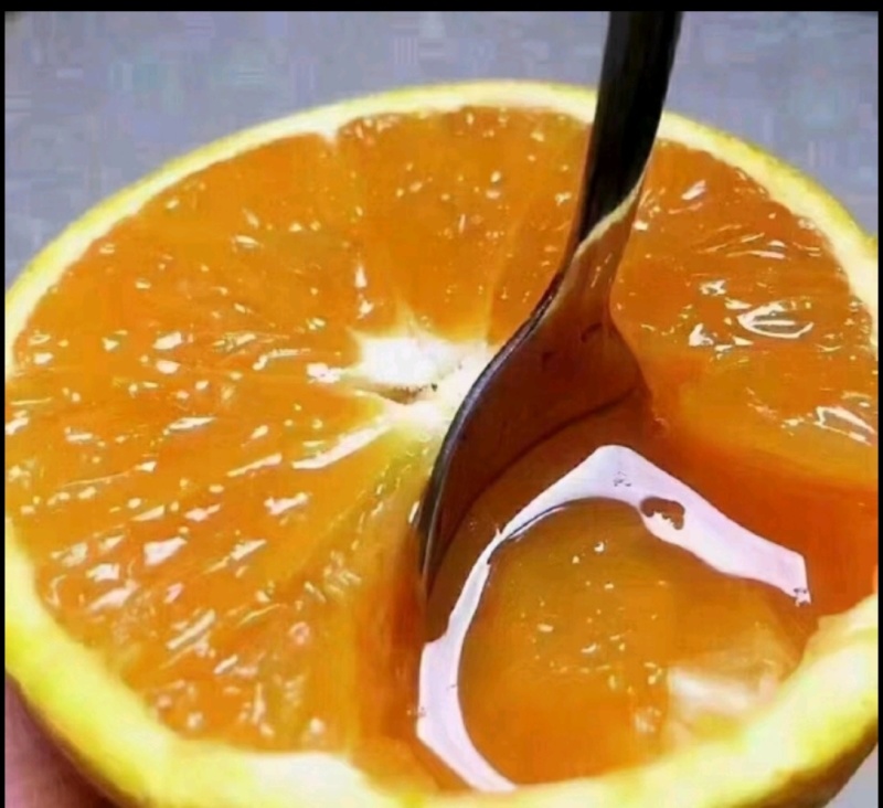 九月红果冻橙，甘甜口感好